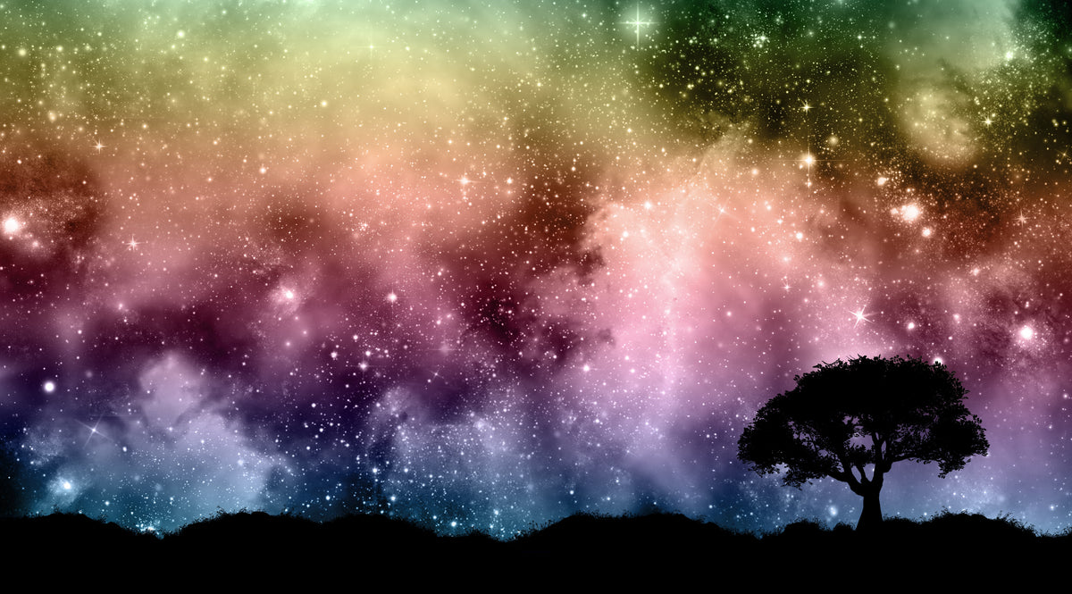 http://wyldethymestudio.com/cdn/shop/collections/starfield-night-sky-with-tree-silhouettes_1200x1200.jpg?v=1663965508