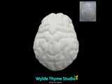 Brains Mold