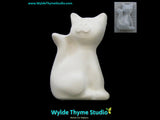 Cat Mold