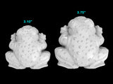 Frog Mold
