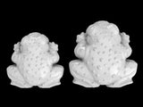 Frog Mold