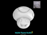 SMB Toad Mold
