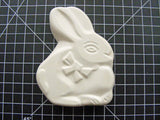 Bunny Silhouette Mold