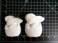 Bunny Egg Mold