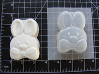 Boy Bunny Mold