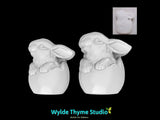 Bunny Egg Mold