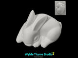 Bunny Rabbit Mold Sleeping