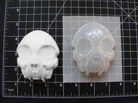 Cat Skull Mold