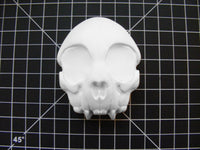 Cat Skull Mold