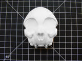 Cat Skull Mold