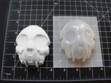 Cat Skull Mold