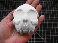 Cat Skull Mold