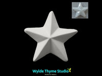 Christmas Star Mold