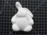 Chubby Bunny Mold