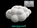Cloud 2 Piece Mold