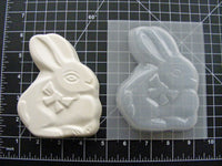 Bunny Silhouette Mold