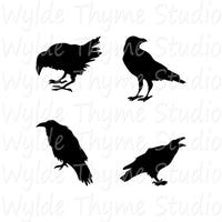 Murder of Crows Stencil