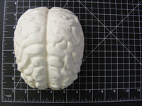 XXL Brains Mold