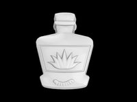 Tequila Bottle Mold