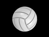 Volleyball Mold